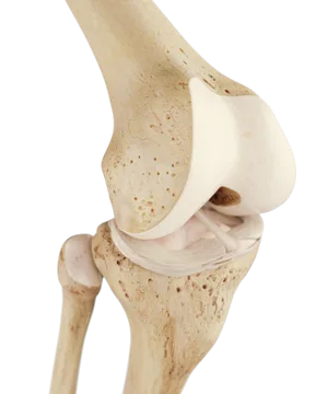 Tratamiento de la articulación de la rodilla